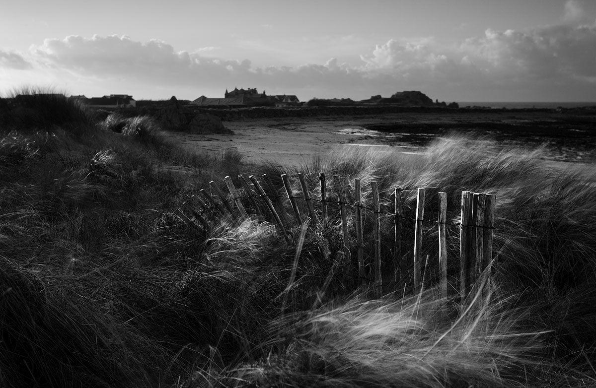 Black and white photo of a sand dune fence at Port Soif, Guernsey.