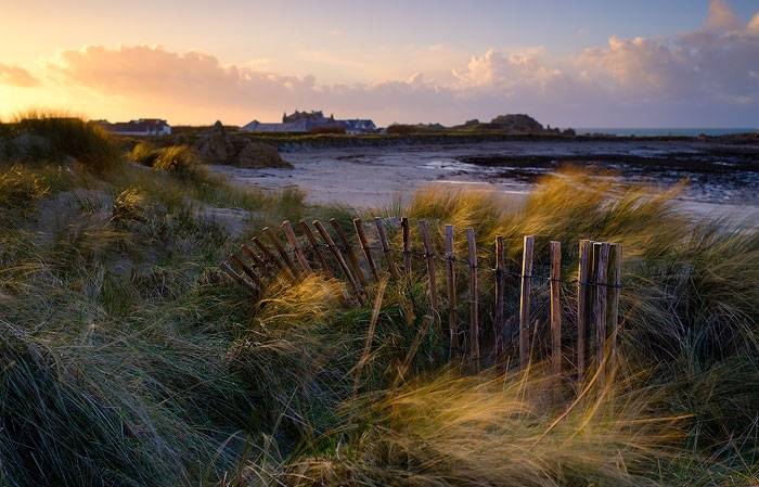 View across a Herm field looking toward Sark on a stormy day.