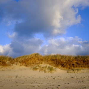 Sand dunes on Herm with large fluffy clouds and blue sky.