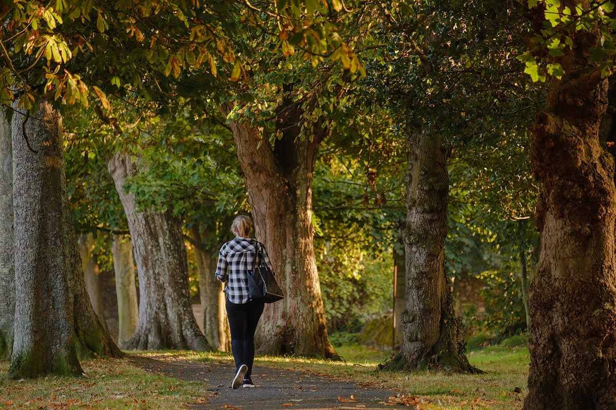 A woman walks away from the camera amongst trees and autumn leaves in Cambridge Park, Guernsey.